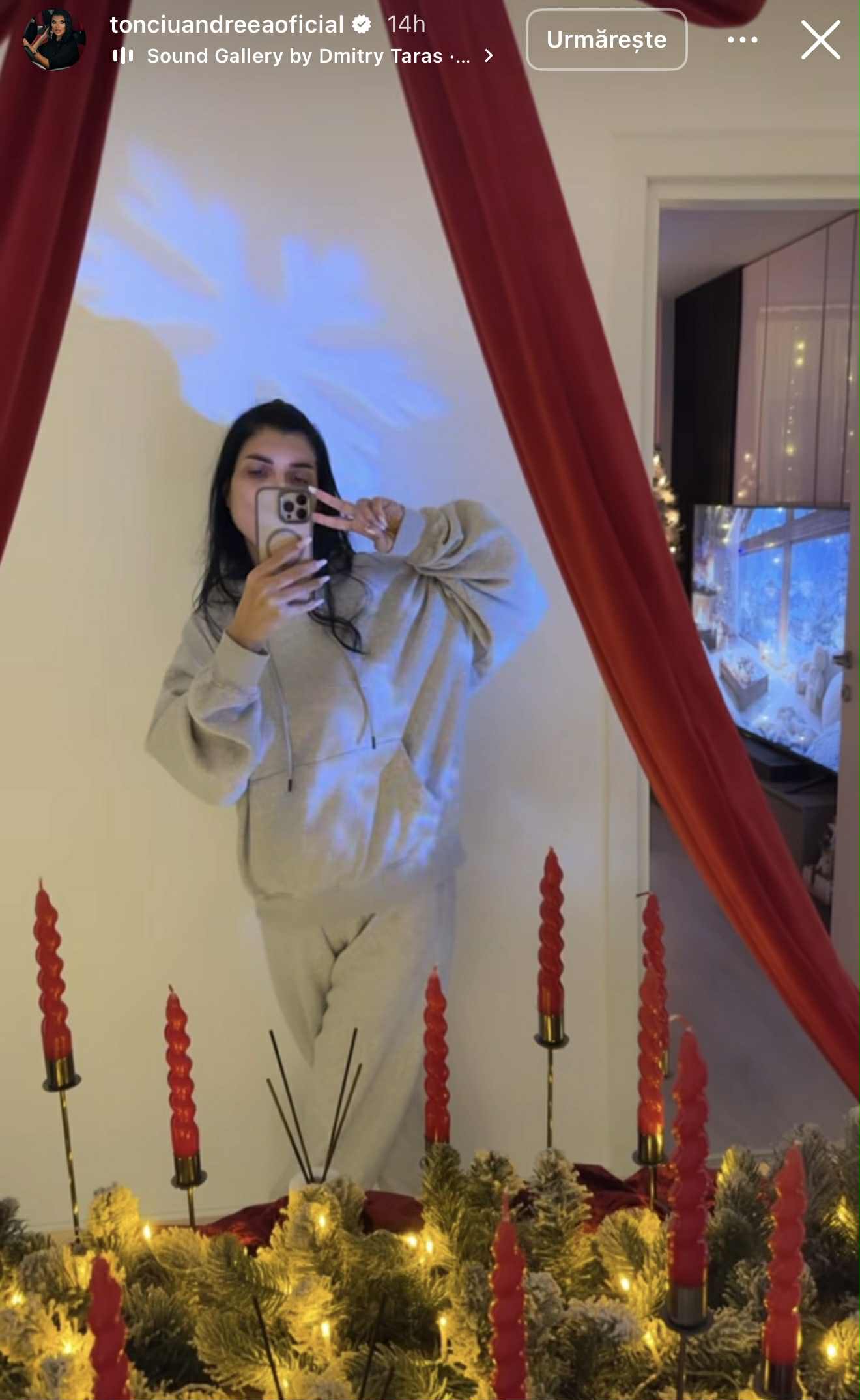 Cum arată casa Andreei Tonciu, amenajată de Crăciun. În aceeași cameră a împodobit mai mulți brazi, iar culoarea predominantă e burgundy