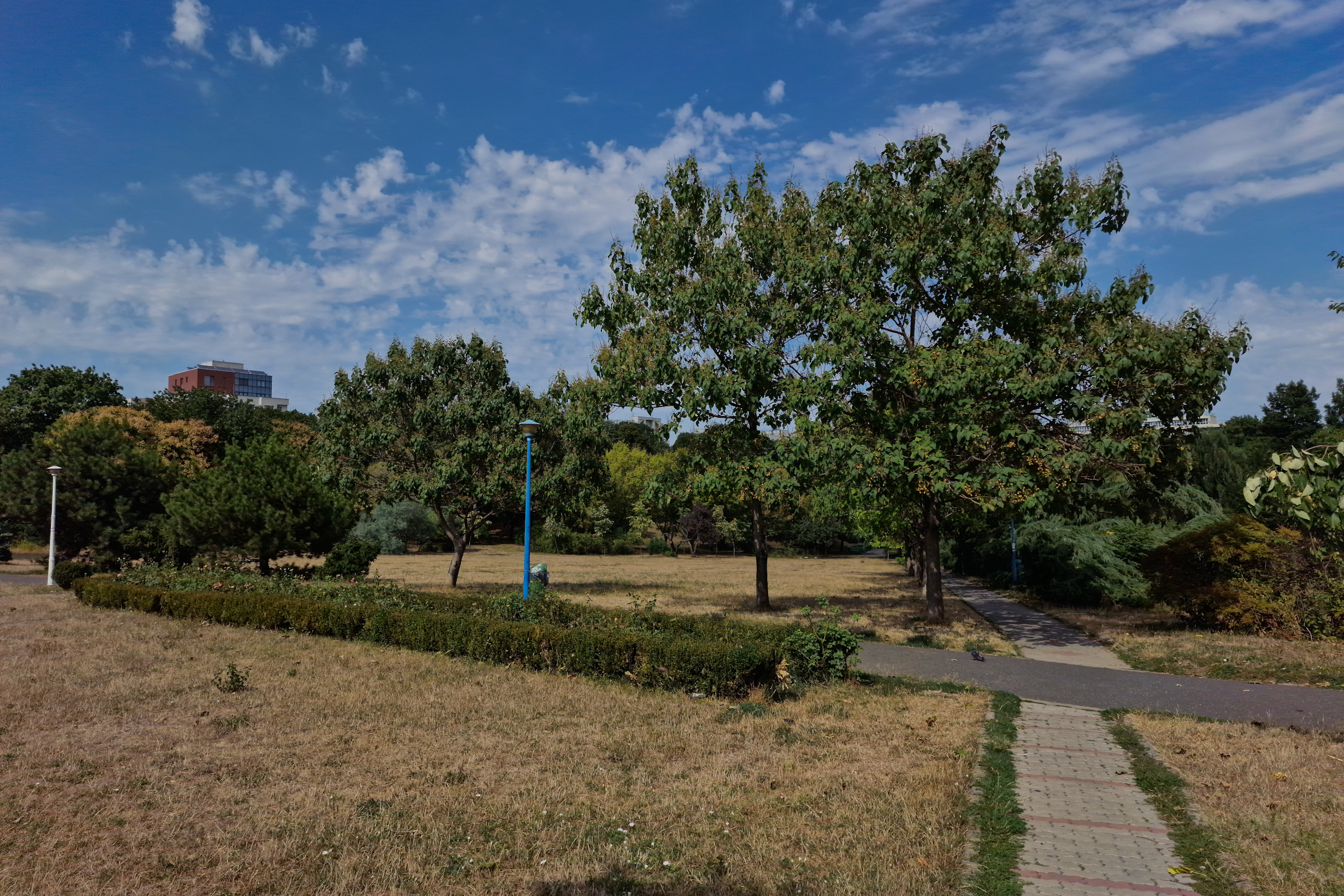 FOTO. În Parcul Circului din București, toată iarba e pârjolită. Rezistă, în schimb, gunoaiele