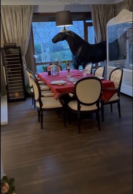 Imagini din casa Andreei Marin, decorată de Crăciun. În sufragerie are mai mulți brazi împodobiți, iar masa festivă e gata