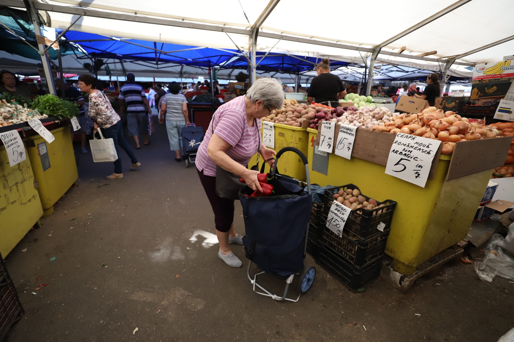 Crângași, Drumul Taberei și Obor: cât costă vinetele, gogoșarii, ardeii și ceapa pentru zacuscă, în București