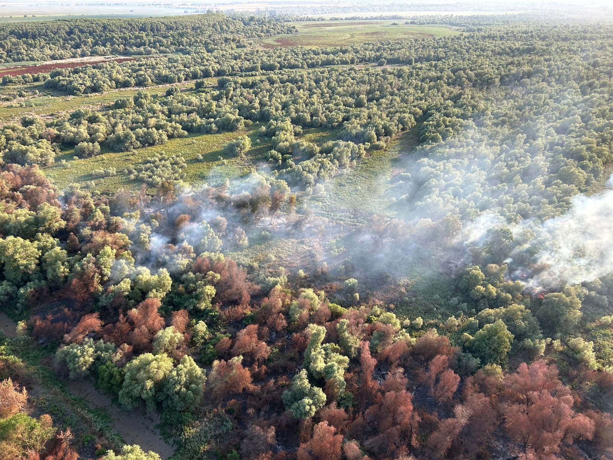 Ard 6 hectare de vegetație uscată în Chilia Veche, Tulcea. Intervine un elicopter Black Hawk