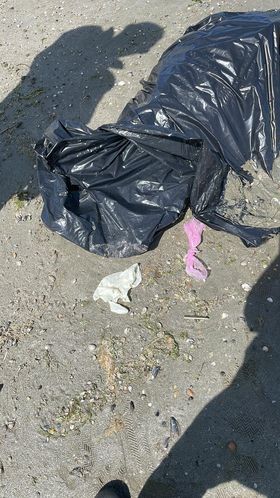 Delfin mort, abandonat pe plaja Modern din Constanța, într-un sac de gunoi