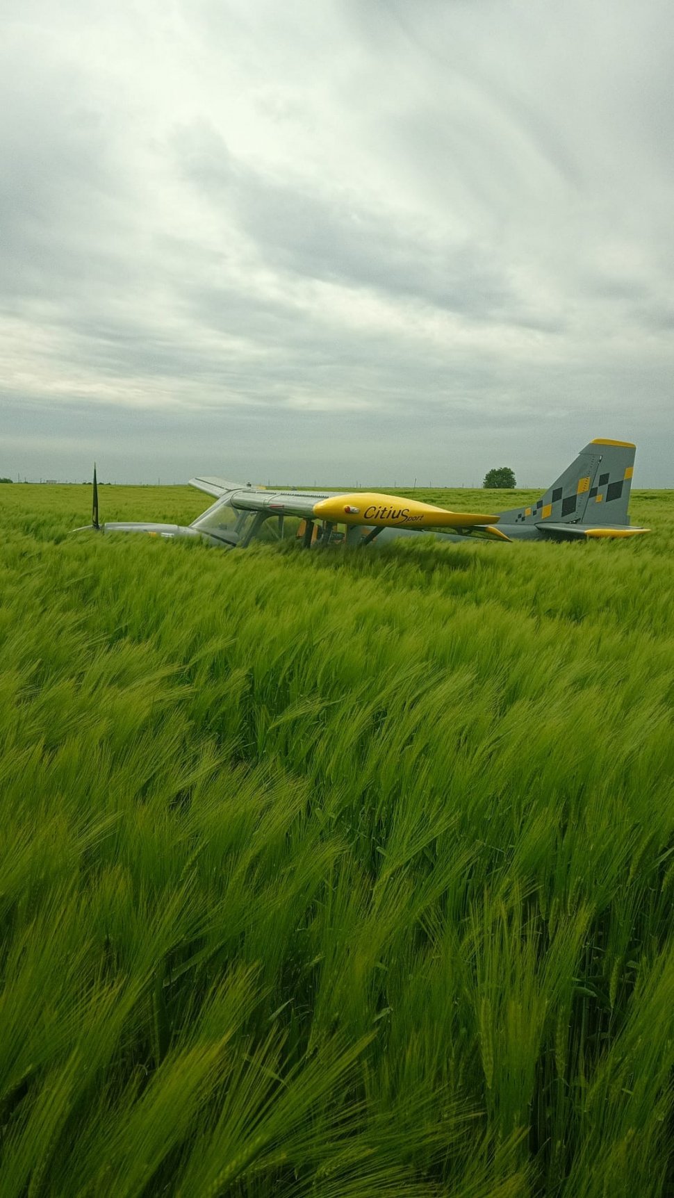 Un avion a aterizat forțat într-un lan de grâu, în Ialomița, după ce a rămas fără combustibil