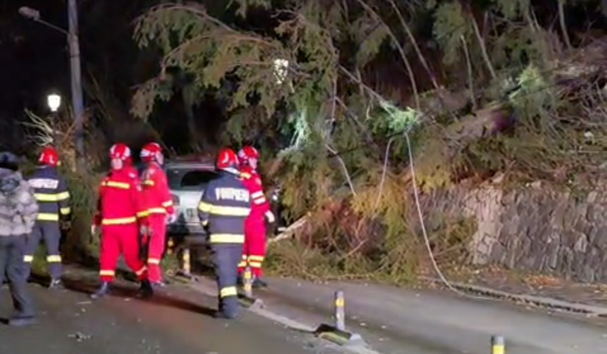 Furtună puternică pe Valea Prahovei: un stâlp a fost rupt, mai mulți copaci au fost doborâți de vânt, iar unul a căzut pe o mașină cu 3 oameni