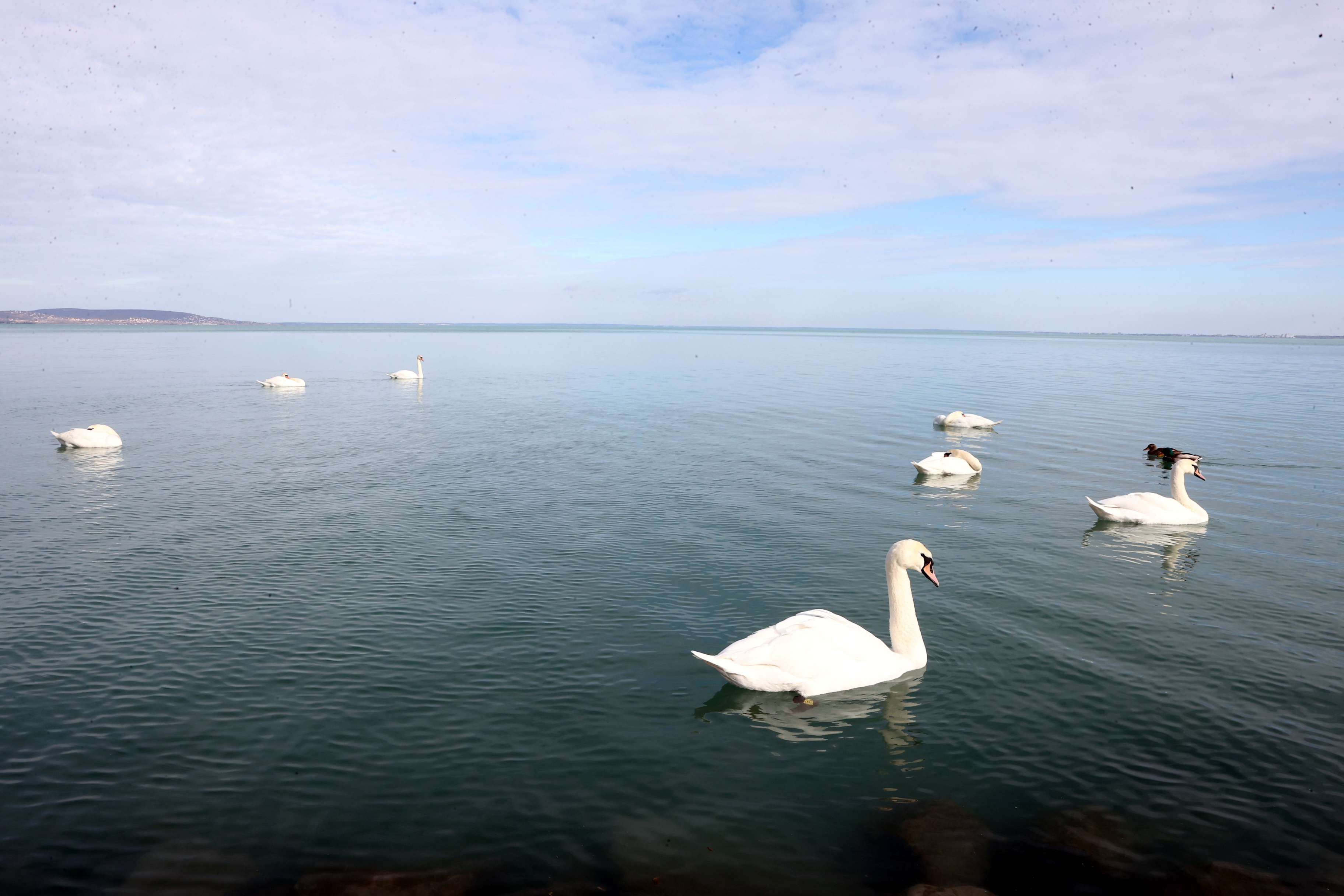 A Balatonhoz tervez nyaralást? Mutatjuk, mennyire hívogató most a víz, és ez még csak a kezdet!