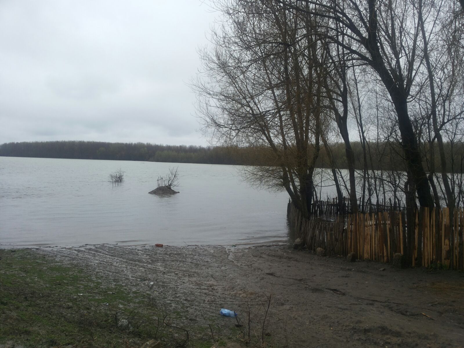 Dunărea, sub cod portocaliu în judeţul Olt! Sute de hectare de păşune şi pădure sunt inundate! GALERIE FOTO