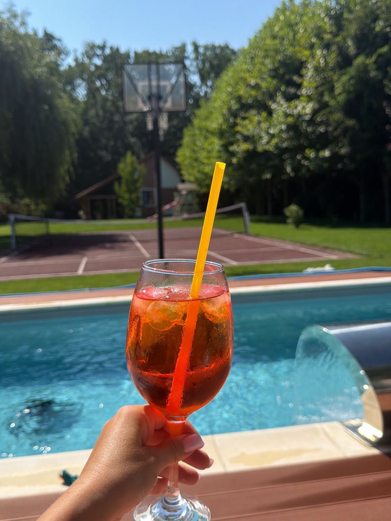 Imagini din curtea Mirelei Vaida. Cum arată piscina de 30.000 de euro: „Mi s-a părut un preț corect”