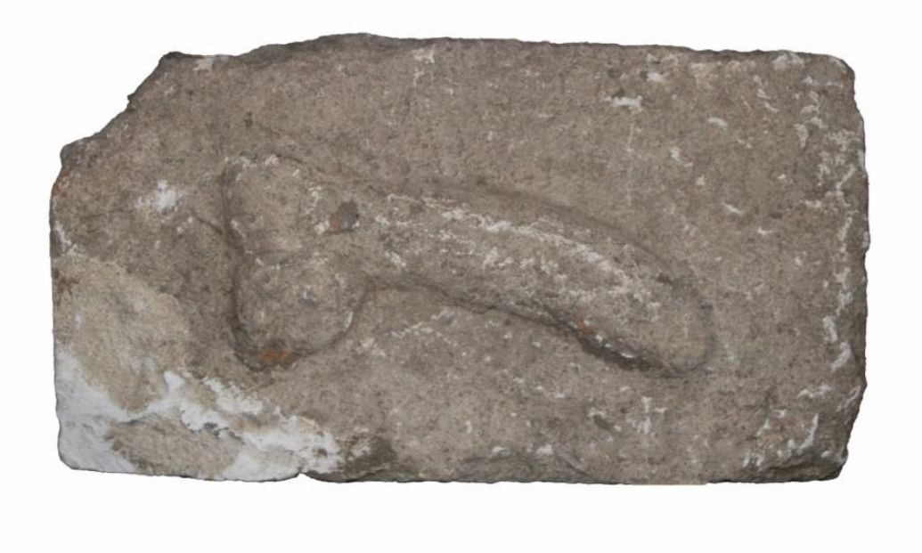 Falus sculptat, în lungime de 26,5 centimetri, descoperit în „orașul de aur” de lângă Alba Iulia. „Avea rol în lupta împotriva «Ochiului Rău»”
