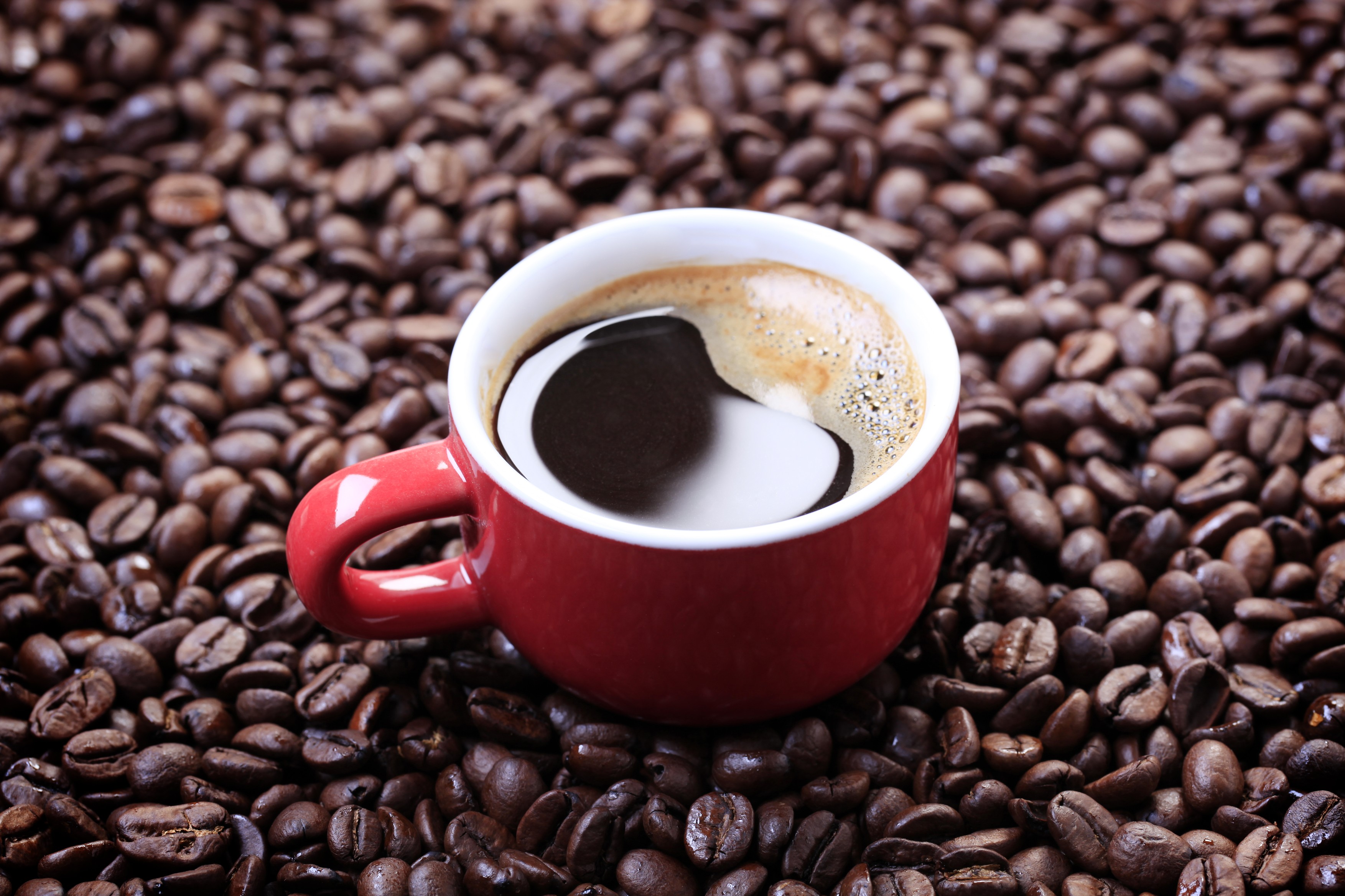 Cafeaua s-a scumpit ca niciodată în ultimii 47 de ani: „Vremuri grele”