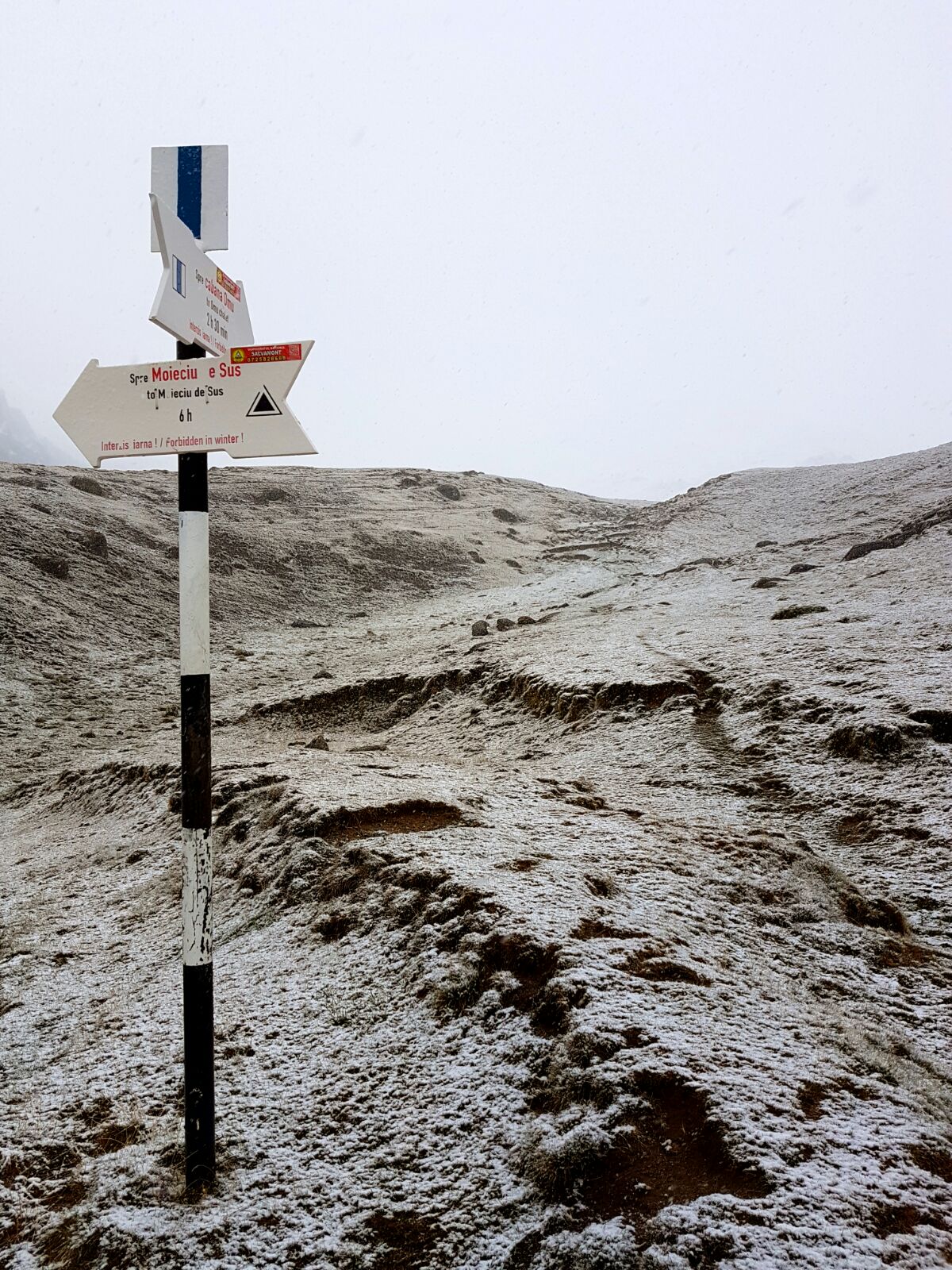 Ninge în stațiunile de pe Valea Prahovei | GALERIE FOTO