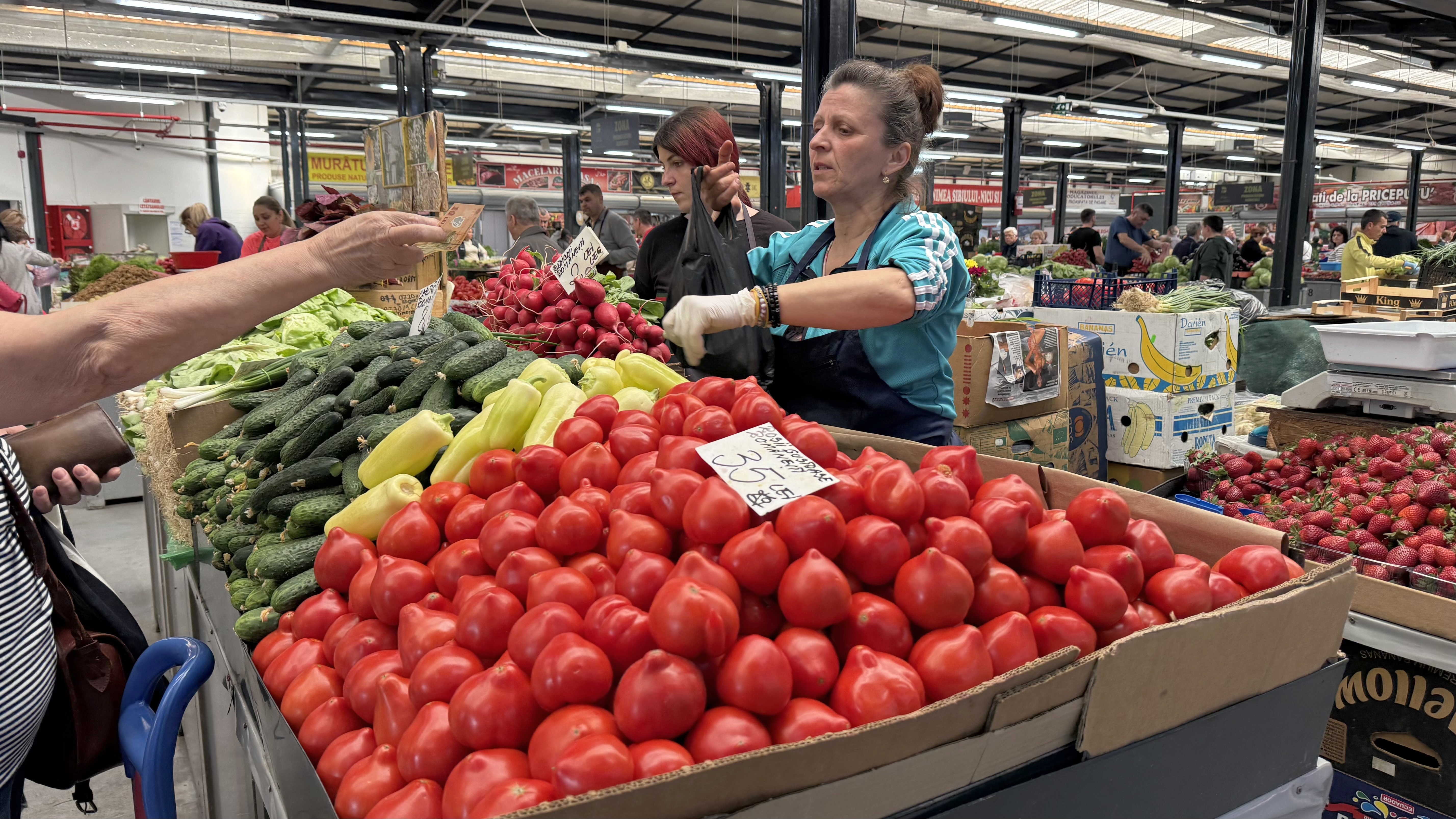 Cât costă roșiile românești în piață? „Cu banii ăștia mănânci carne o săptămână! Mai așteptăm, că vara-i lungă”