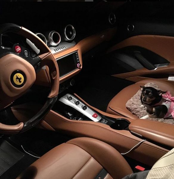 FOTO | Un orfan s-a prefăcut timp de 20 de ani că este un prinţ din Arabia Saudită. Detaliu care l-a dat de gol