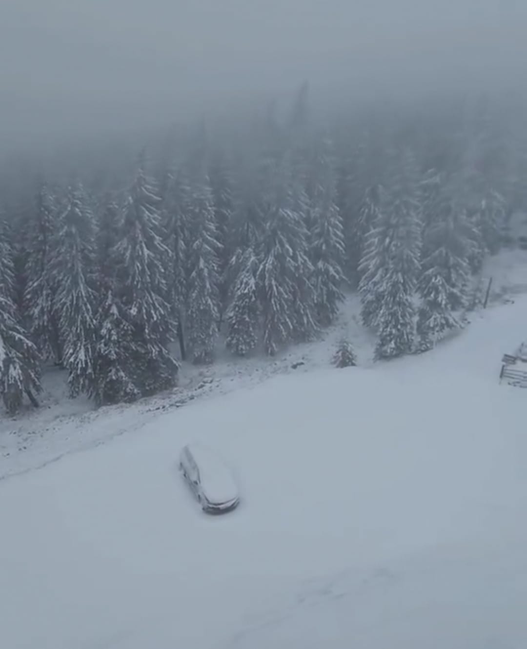 A nins pe Transalpina. Drumarii intervin cu utilaje şi dau cu material antiderapant | VIDEO