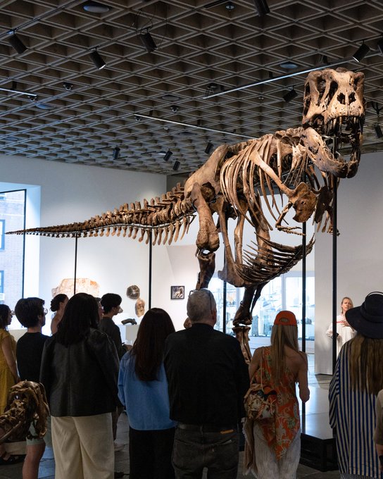 „Gus” este cel mai scump dinozaur din lume: suma-record cu care s-a vândut un T-Rex uriaș de 67 de milioane de ani, în SUA | VIDEO