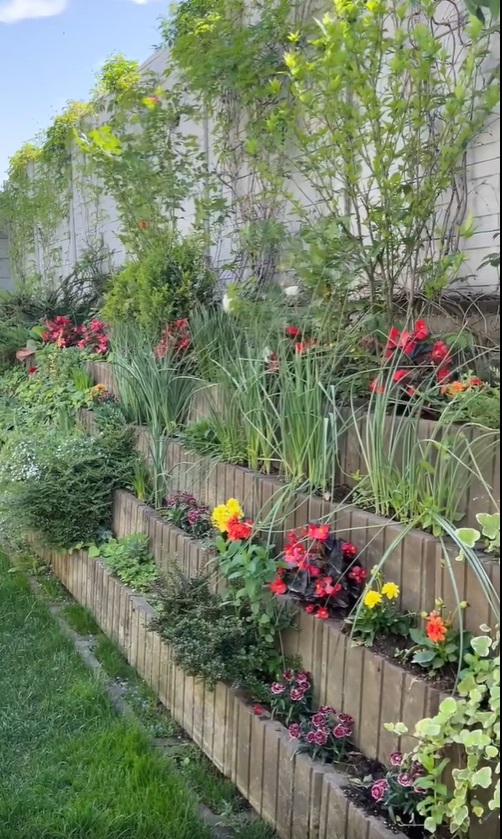 Imagini noi din grădina Andreei Marin. Are mulți trandafiri înfloriți, dar și plante aromatice, spanac și răsaduri de roșii