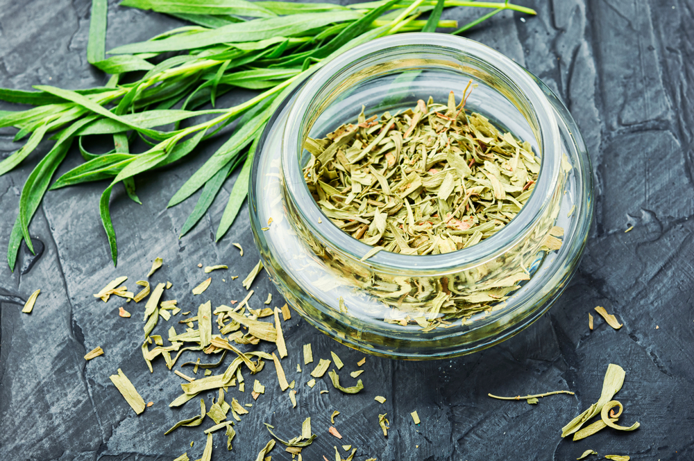 Tarhon - cum se consumă și ce beneficii are planta aromatică