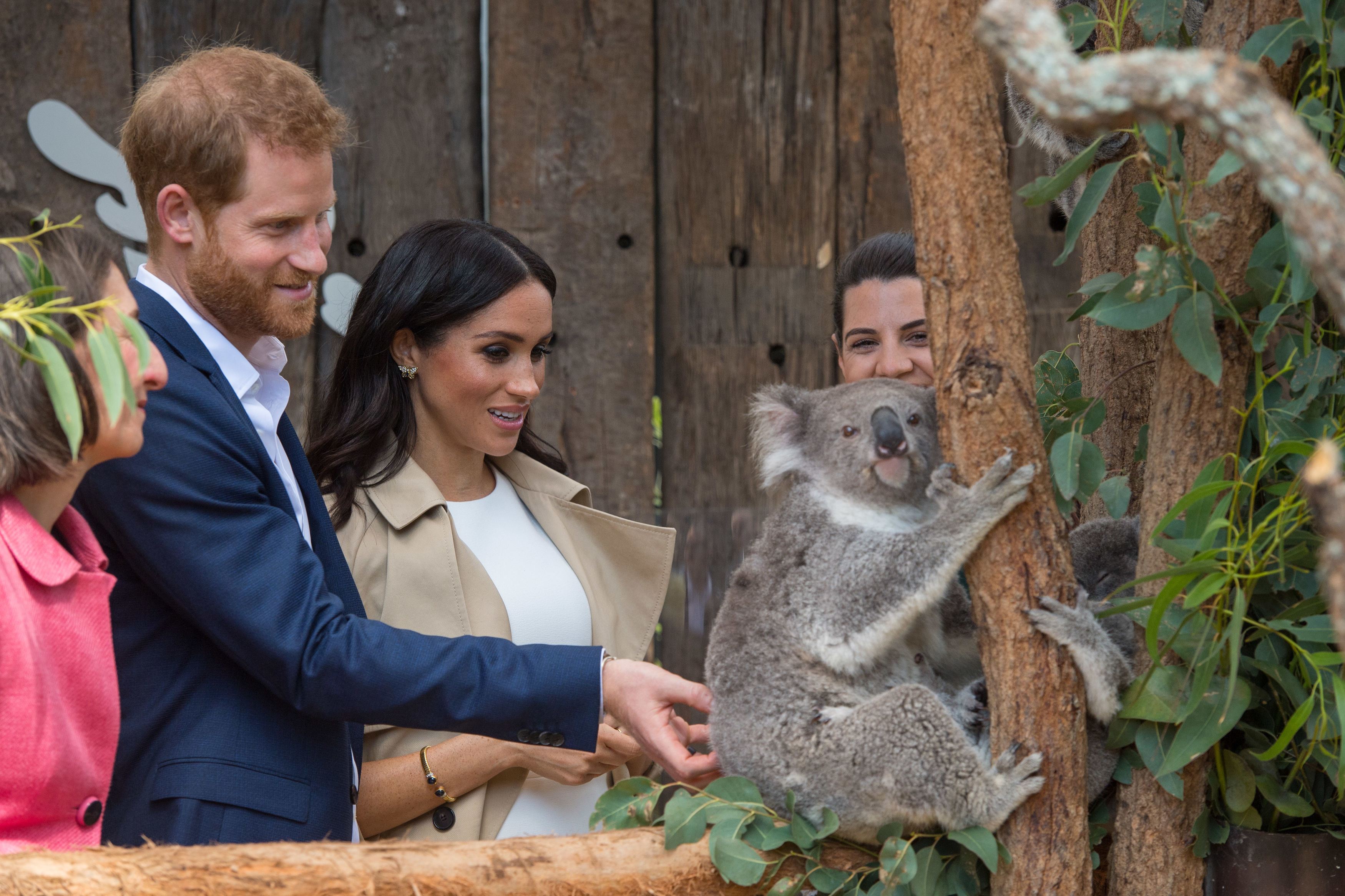 FOTO | Meghan Markle, la prima apariție publică de la anunțul sarcinii. Detaliul subtil în memoria Prințesei Diana