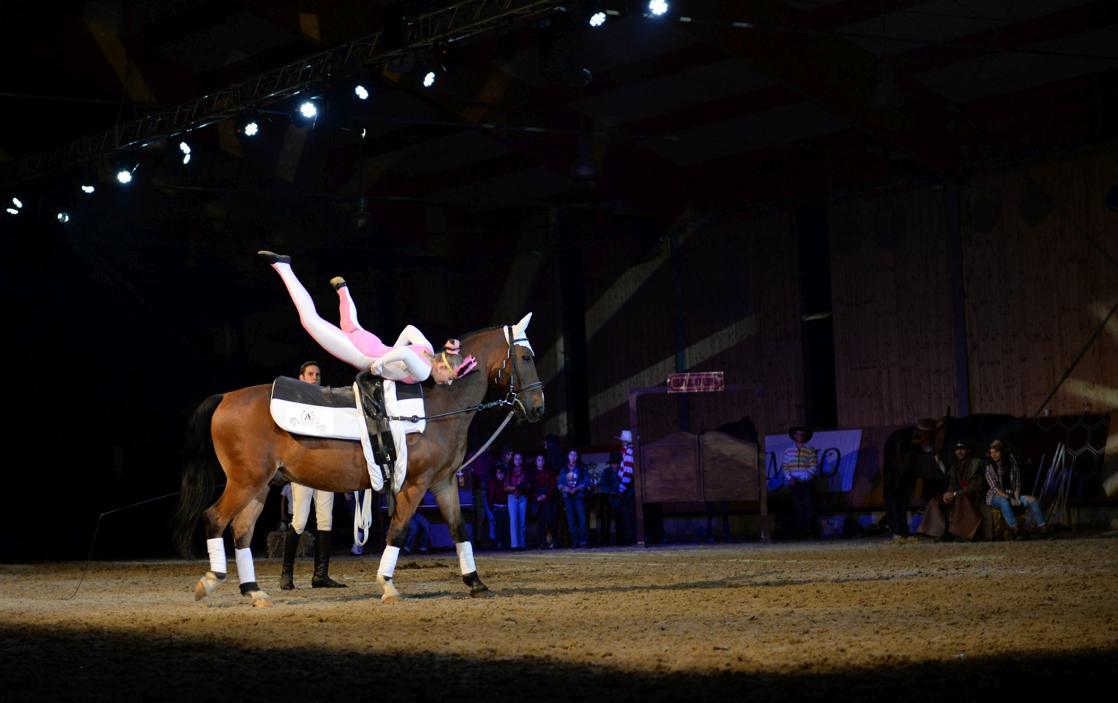 GALERIE FOTO / Performanţa sportivă şi frumuseţea echitaţiei,  în primul week-end de la Salonul Calului