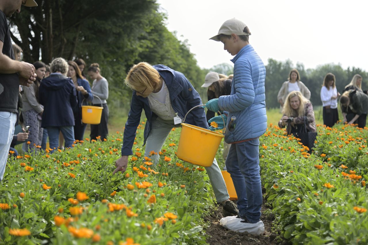 Cum se fabrică celebrele produse Weleda! Am vizitat grădina de plante medicinale din Germania, un paradis de 23 de hectare