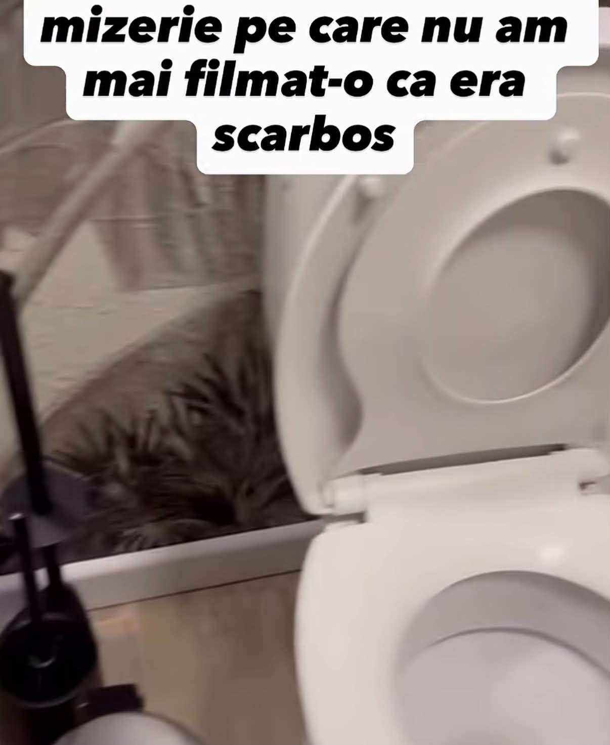 Cum a reacționat Jorge după ce s-a trezit cu unul dintre apartamentele de la mare devastat: „I-am contactat, nu au răspuns! Am depus plângere la poliție”