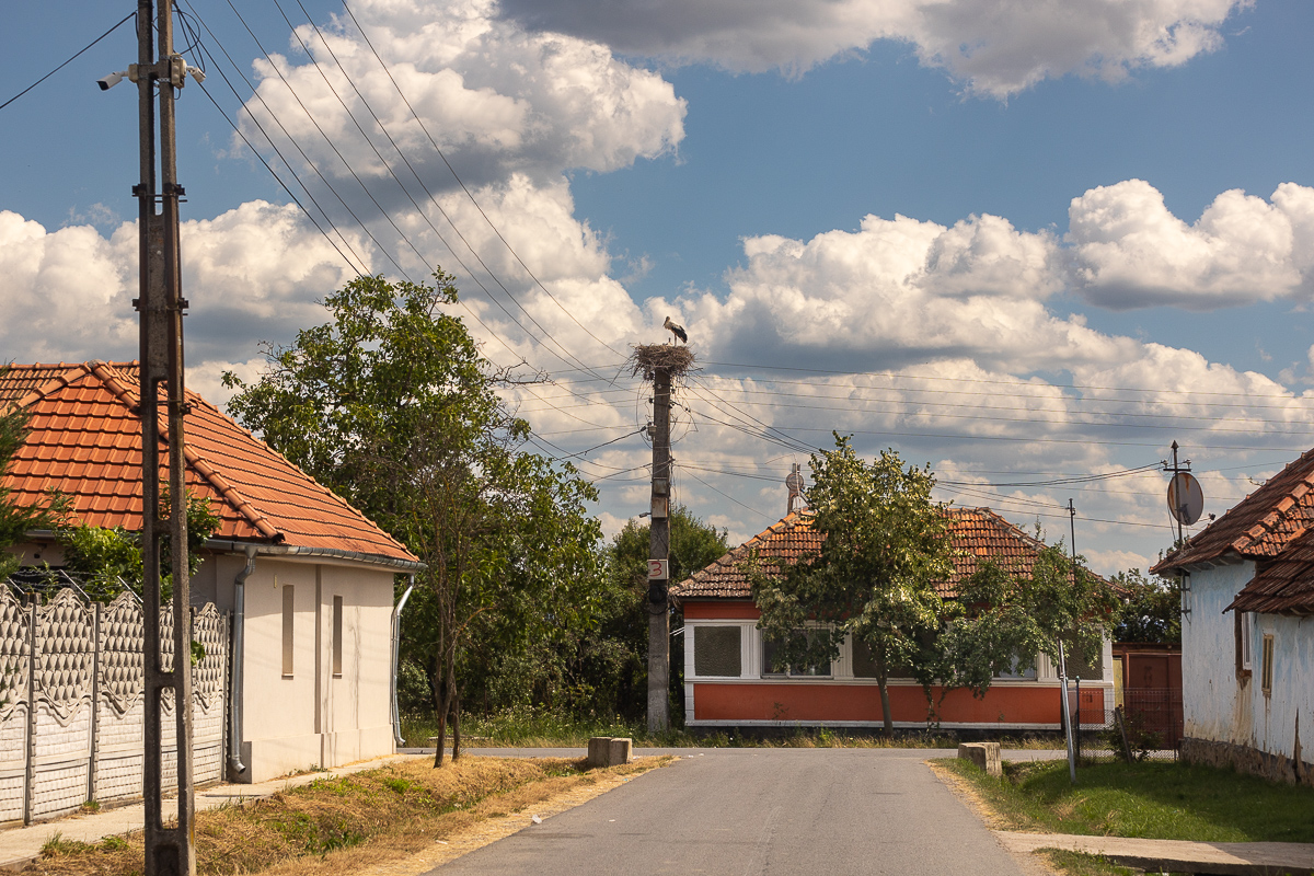 Mărturiile angajatelor plătite cu 2.700 de lei pe lună de Viorel Pașca: „A ajutat pe toată lumea! Şi pe noi, că am mai avut unde lucra!”