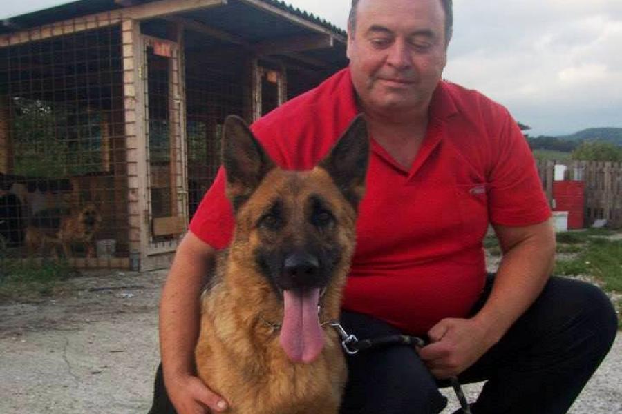 Medicul veterinar care tratează gratis câinii abandonați pe stradă în Bistrița. „Patrupedele sunt fidele, bipezii nu”