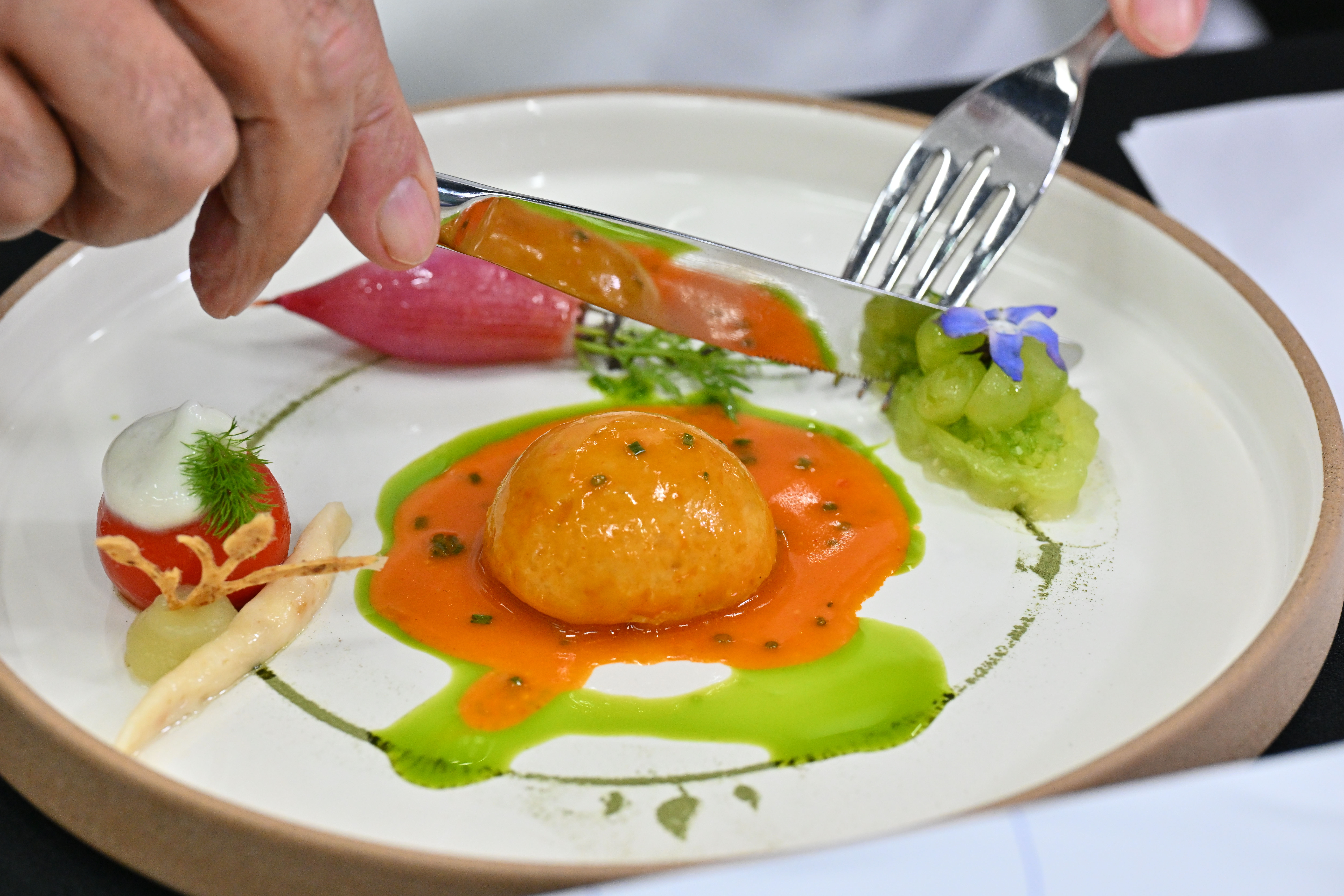 Cum au ajuns românii printre cei mai buni bucătari din Europa. Preparatele care i-au dus pe chefii din țara noastră la „Cupa Mondială a Gastronomiei”