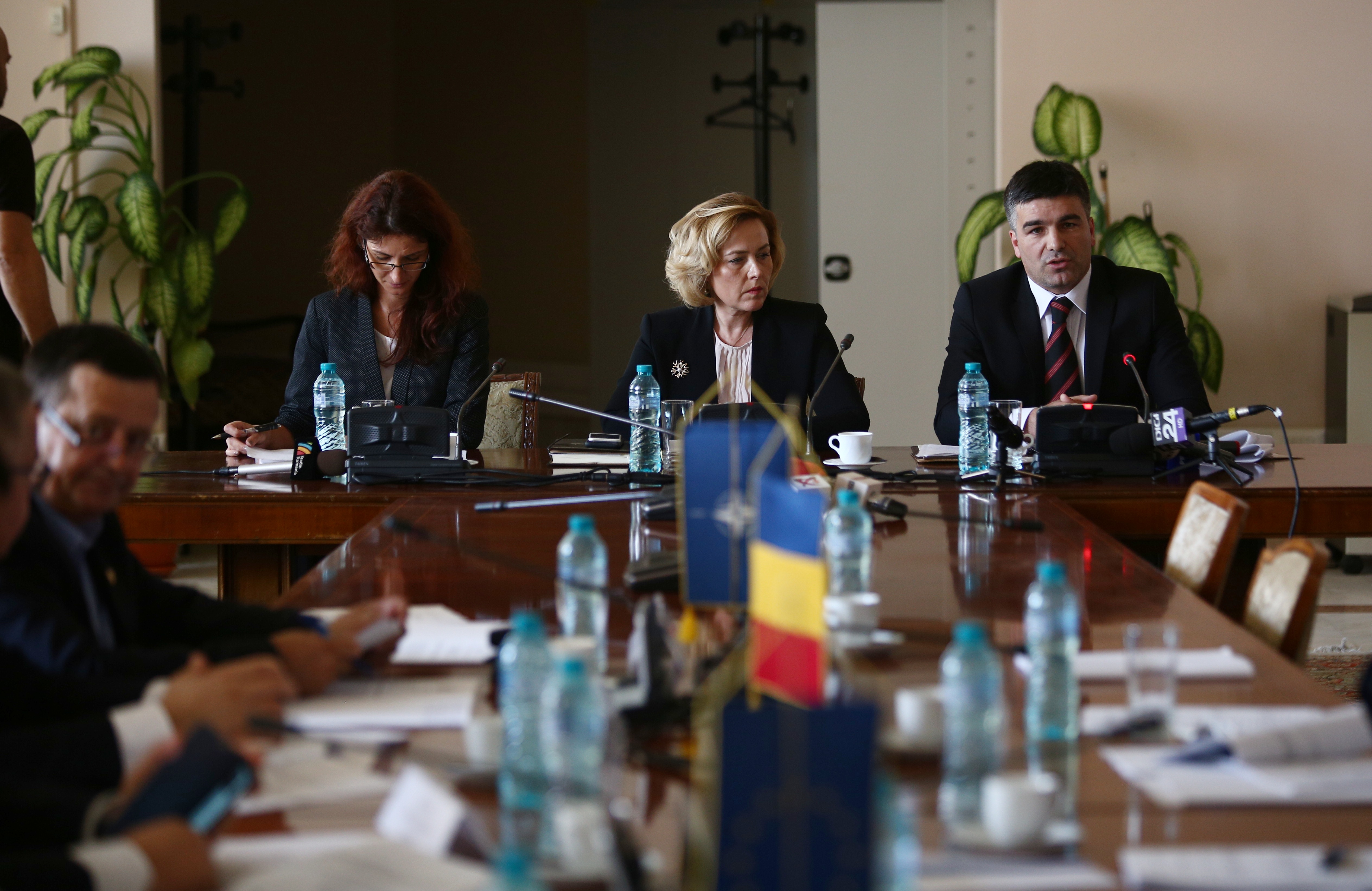 UPDATE. Carmen Dan, audiată în Comisia de apărare din Senat: ”Politica penală a ultimilor ani a fost aceea de a se sancționa cu oarecare blândețe violența”