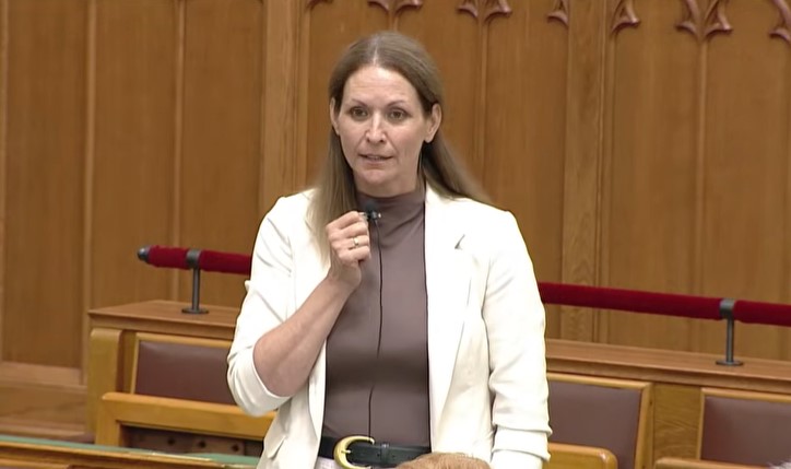 Megszólal Lezsák Anna, miután a tiszás Kulcsár Krisztián trágár módon beszólt neki a parlamentben