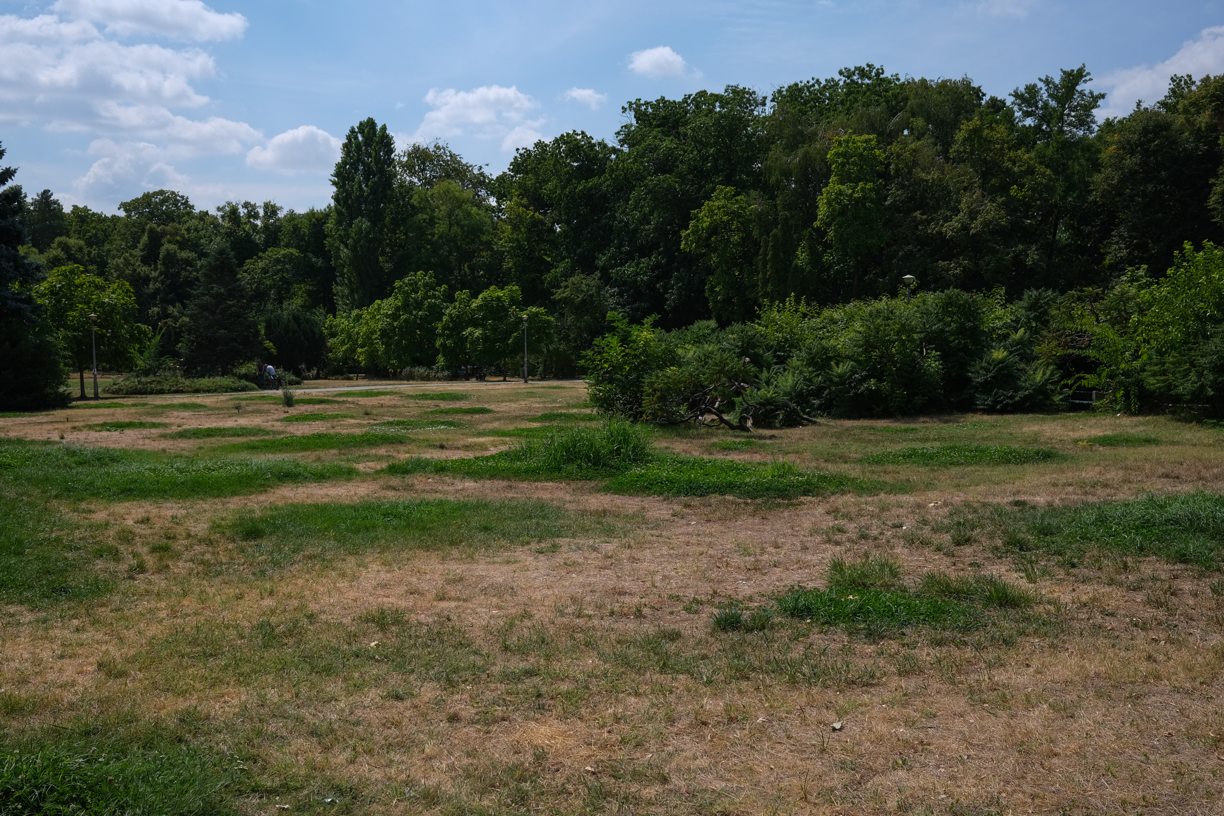 Parcul Herăstrău, degradarea continuă. Bănci rupte, iarbă lipsă, alei crăpate și arteziene fără apă