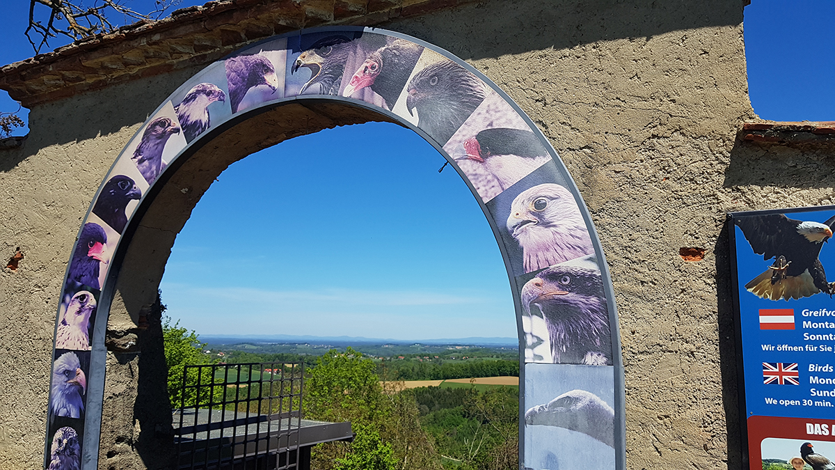 REPORTAJ ÎN AUSTRIA. Poliția păzește castelul prințului din Riegersburg, pentru că „le-am ucis ursul și s-au supărat foarte tare”