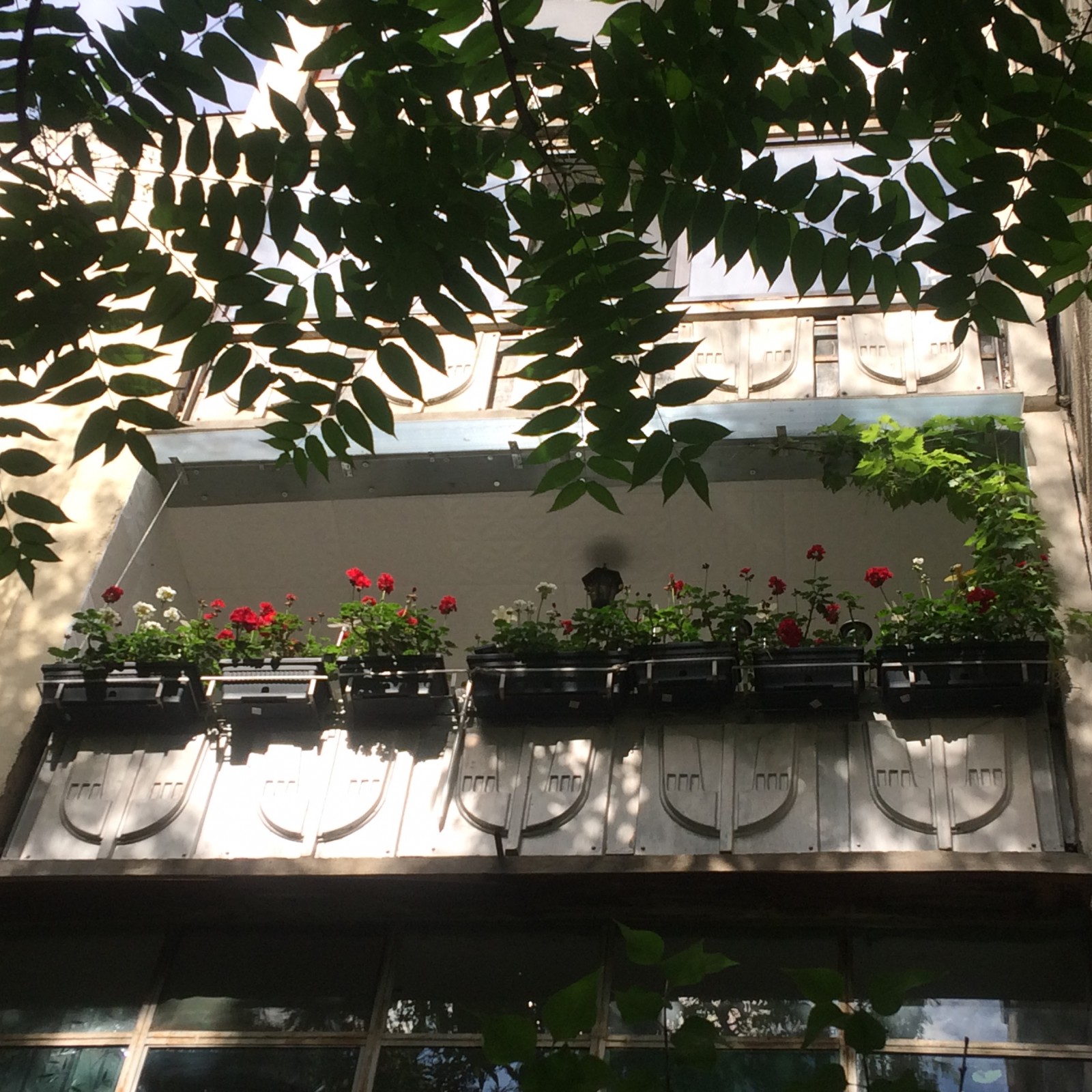 Primăria Capitalei a anunţat câştigătorii Concursului ”Cea mai frumoasă faţadă” GALERIE FOTO