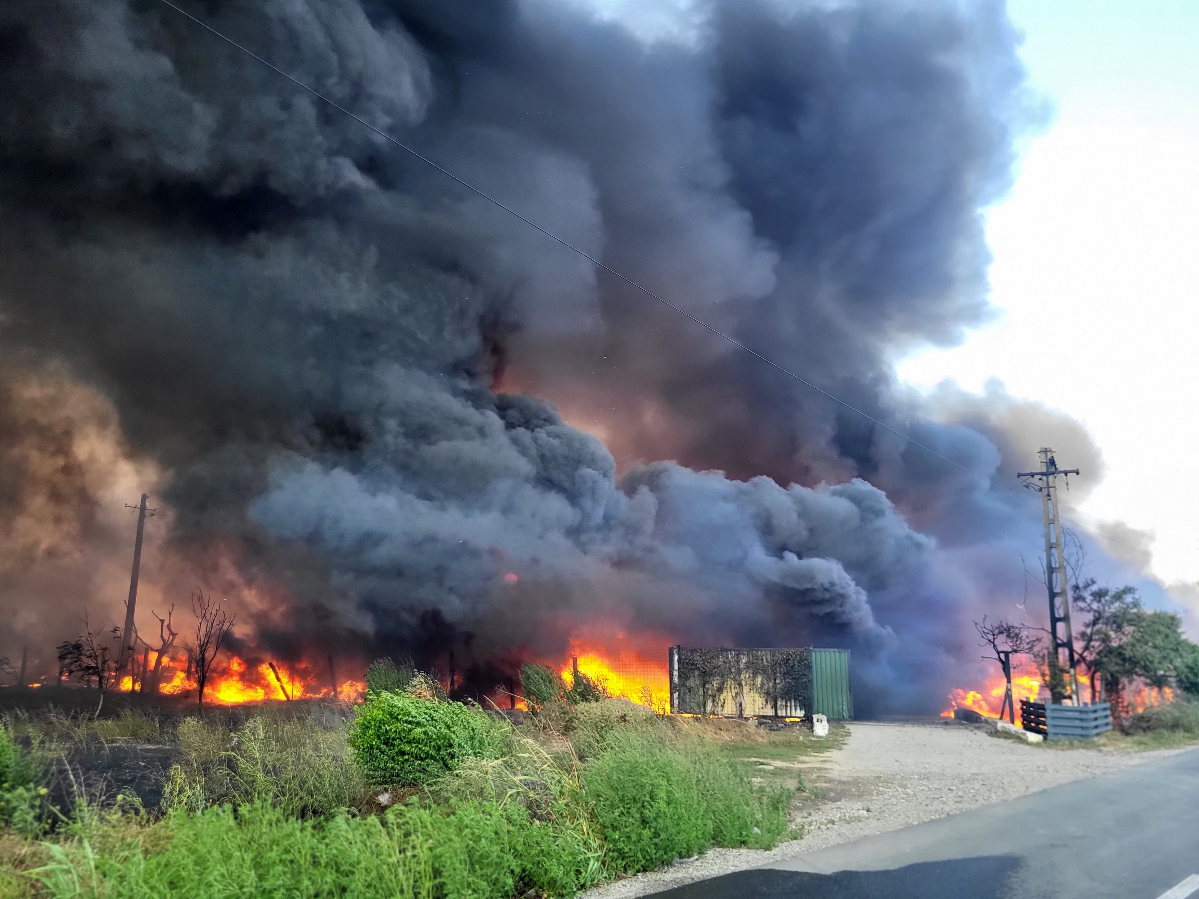 Mesaj RO-Alert, emis după ce zeci de hectare de vegetație uscată din Giurgiu și Mehedinți au fost cuprinse de flăcări