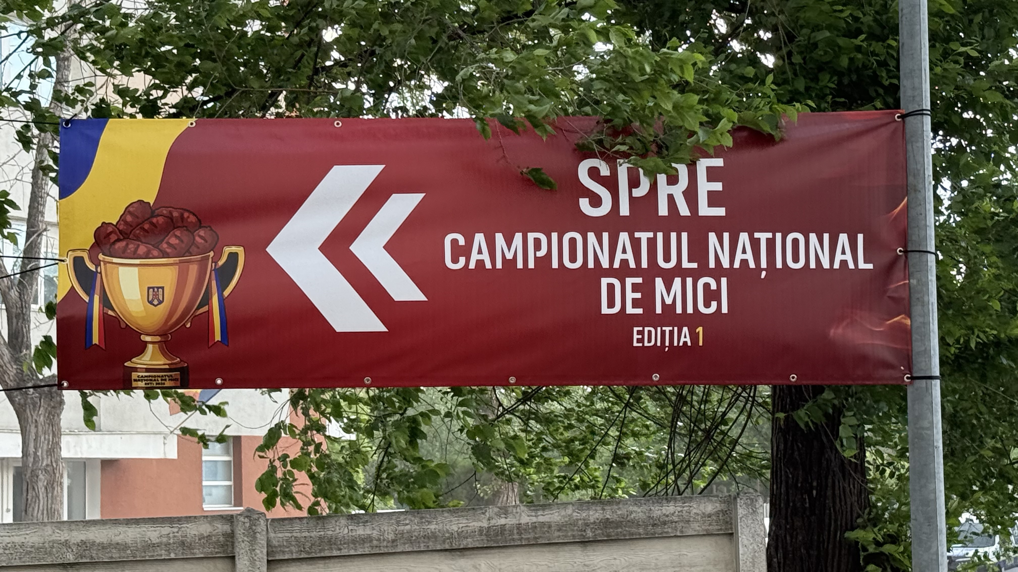 Secretul unui mic perfect: „Micii sunt artă, frate. Dacă-i grăbești, i-ai stricat”. Reportaj de la Campionatul Național de mici