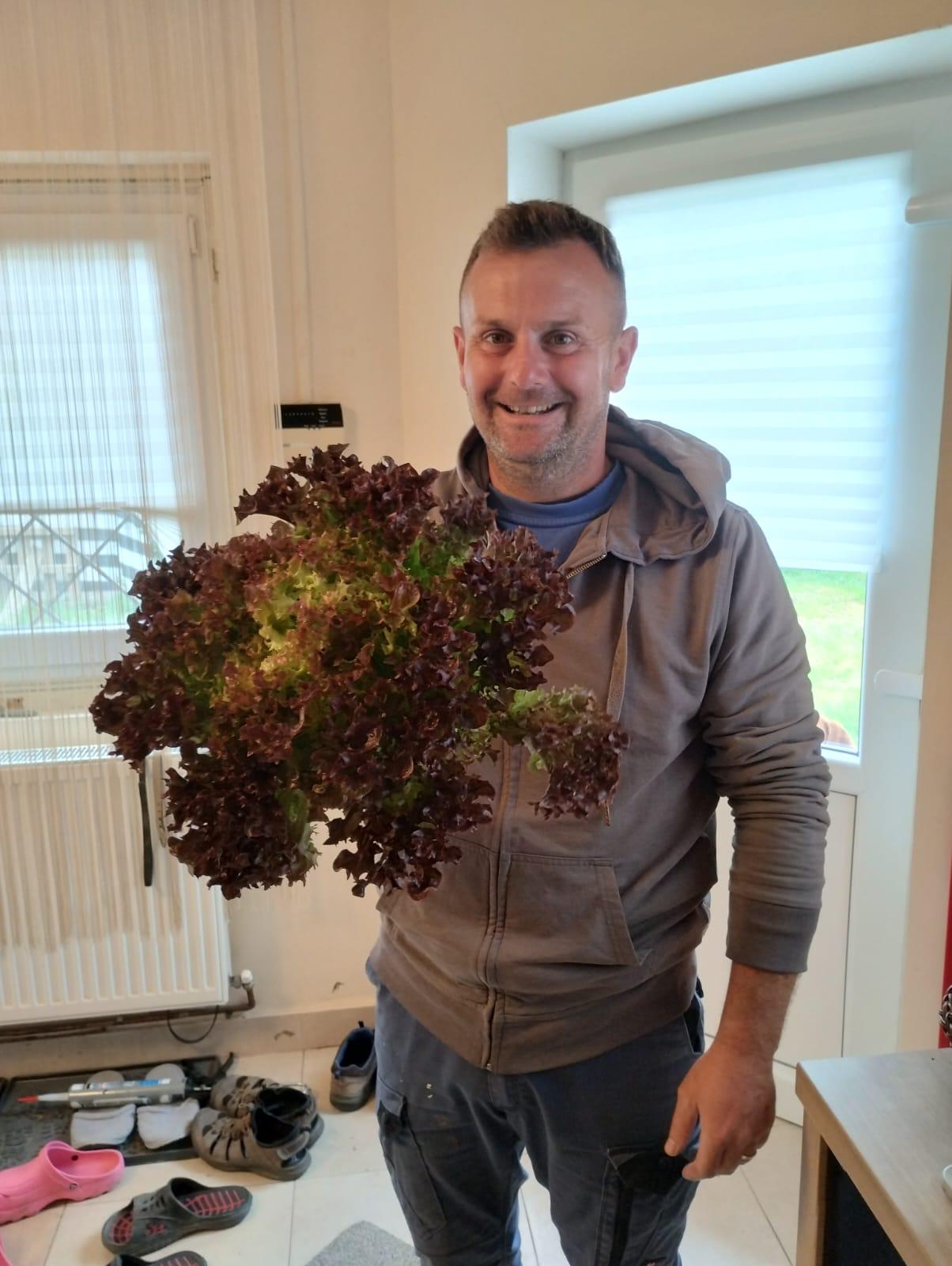 Povestea de succes a lui „Alex cu menta”, un tânăr întors din străinătate să cultive plante aromatice: „În patru luni se fac bani cât pentru tot anul”