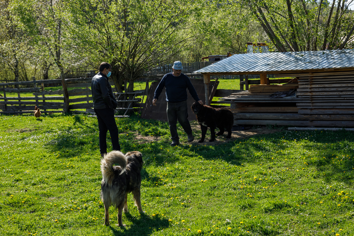 REPORTAJ. Cealaltă versiune a poveștii din Ojdula, satul în care a fost ucis Arthur. „Aici e teroare cu urșii. Trebuia împușcat tot”