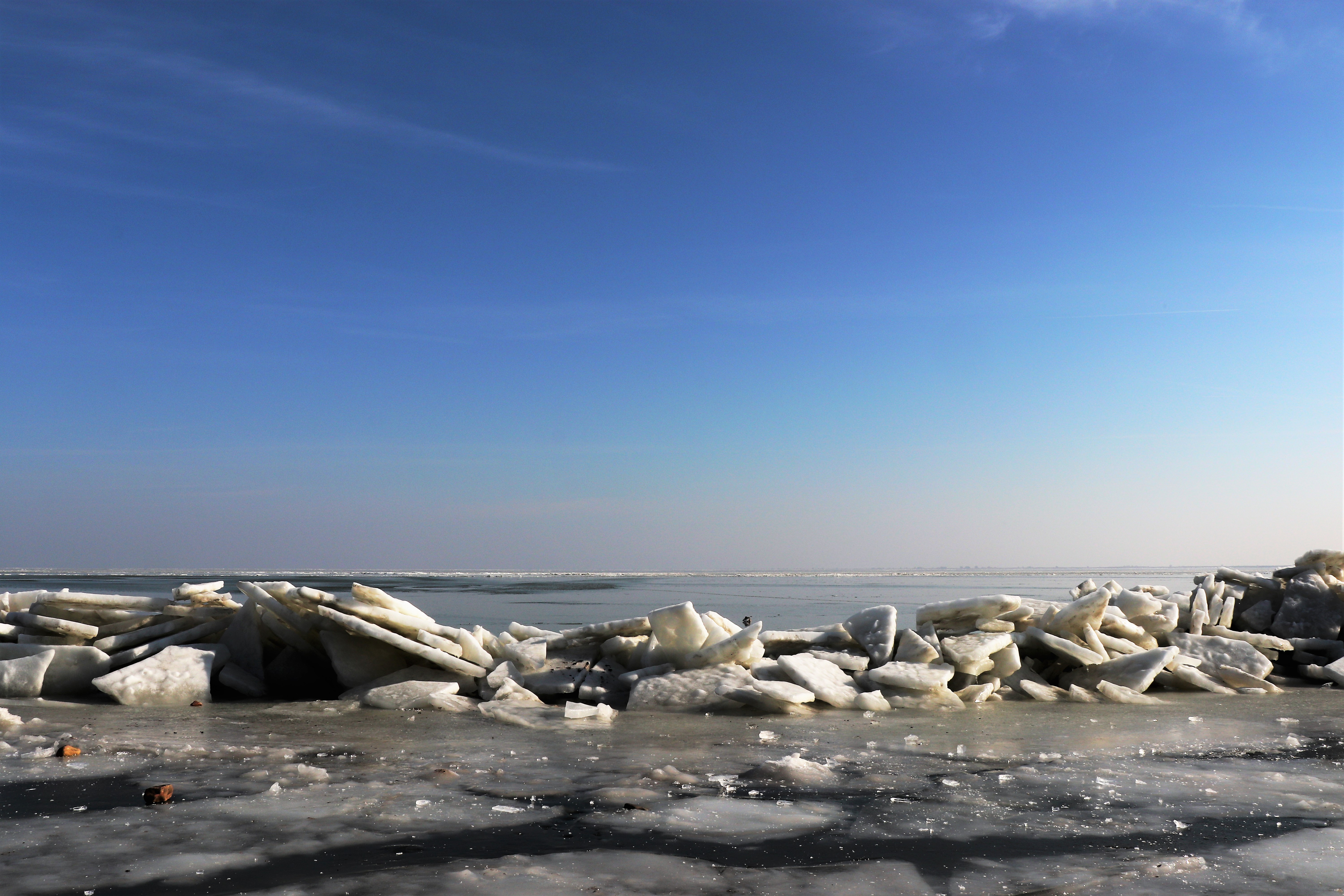 FOTO & VIDEO/ Iarnă de poveste în Delta Dunării. Imagini spectaculoase cu lacul care a devenit un imens patinoar!