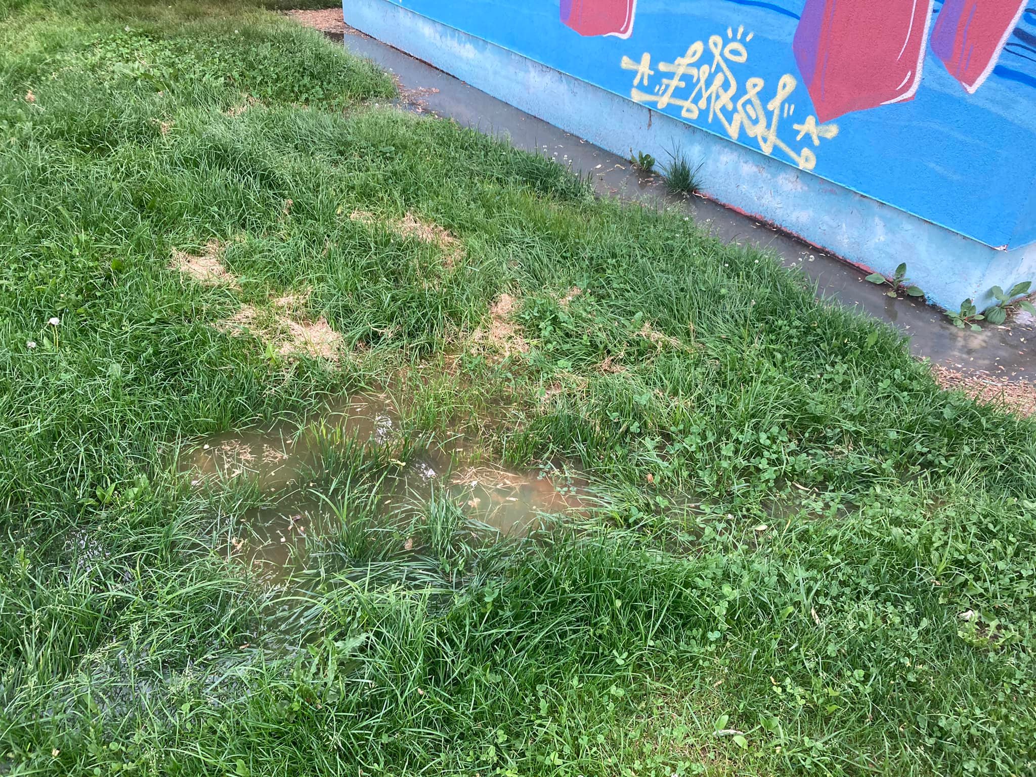 DSP București: amenzi pentru toaletele neîngrijite din parcurile sectorului 3