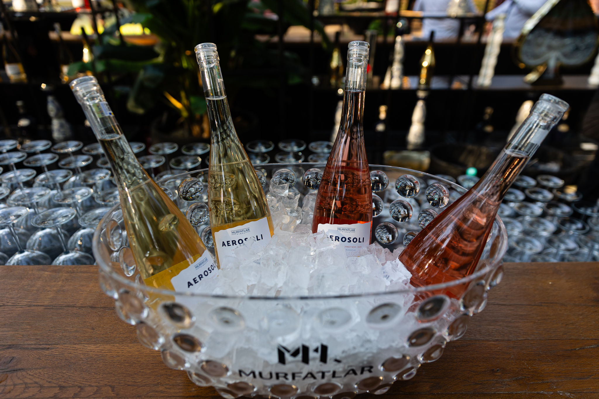 VIVA! Party 2024 a celebrat 25 de ani de la apariția primului număr al revistei alături de 2.000 de prieteni!