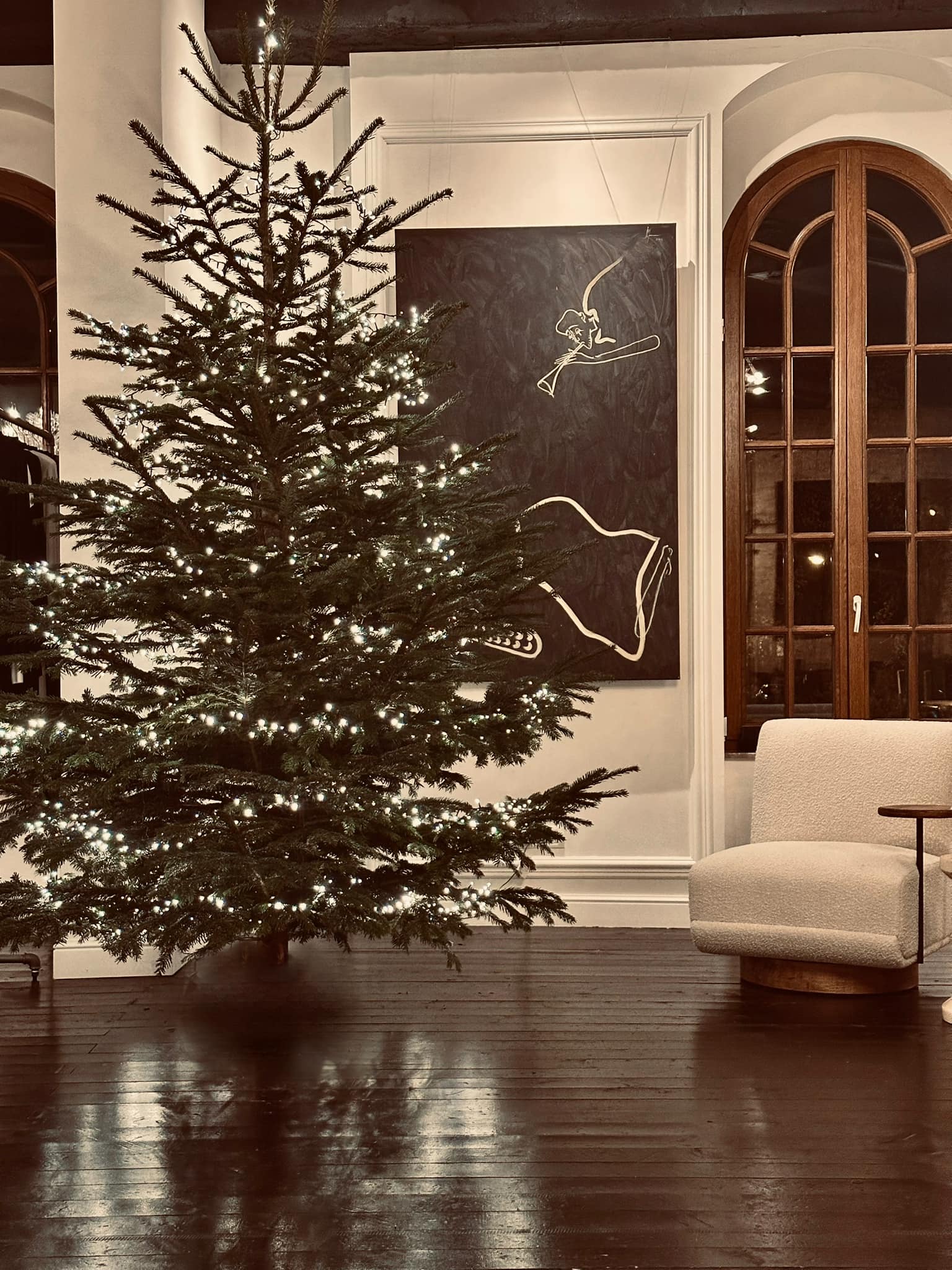 Imagini din sufrageria Danei Budeanu. Cum a decorat bradul de Crăciun din casa ei