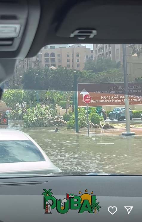 Anda Adam, prinsă de furtună în Dubai. A arătat imagini cu străzile inundate și copacii căzuți, iar apoi a mers la o plajă de lux