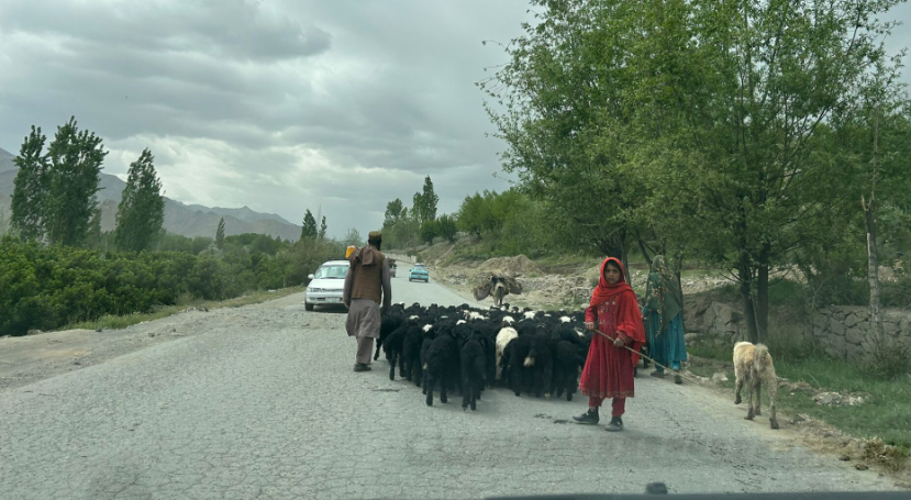 Tânărul ploieștean care a fost două săptămâni în Afganistan pentru a documenta viața sub talibani: „Am stat la grătar cu soldații”