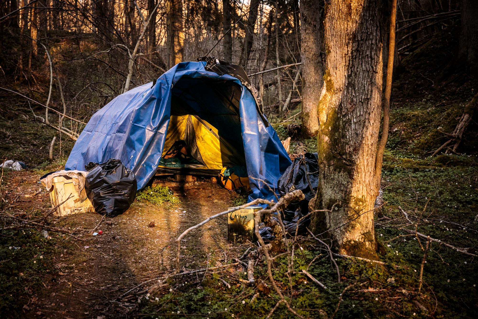 În căutarea lui Gică - românul omorât într-un parc din Huskvarna, Suedia, de doi adolescenți. Paște în pădure cu cei mai nevoiași dintre compatrioți (1)