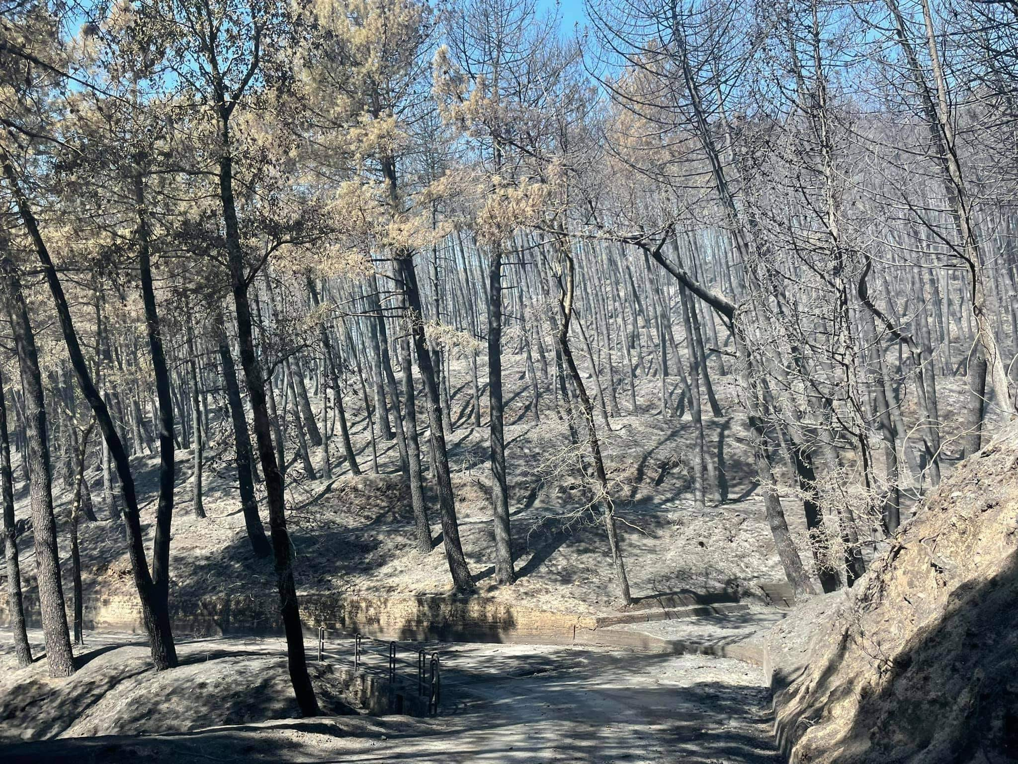 Incendiile puternice continuă în sudul Italiei. Temperaturi de peste 40 de grade, așteptate în următoarele zile