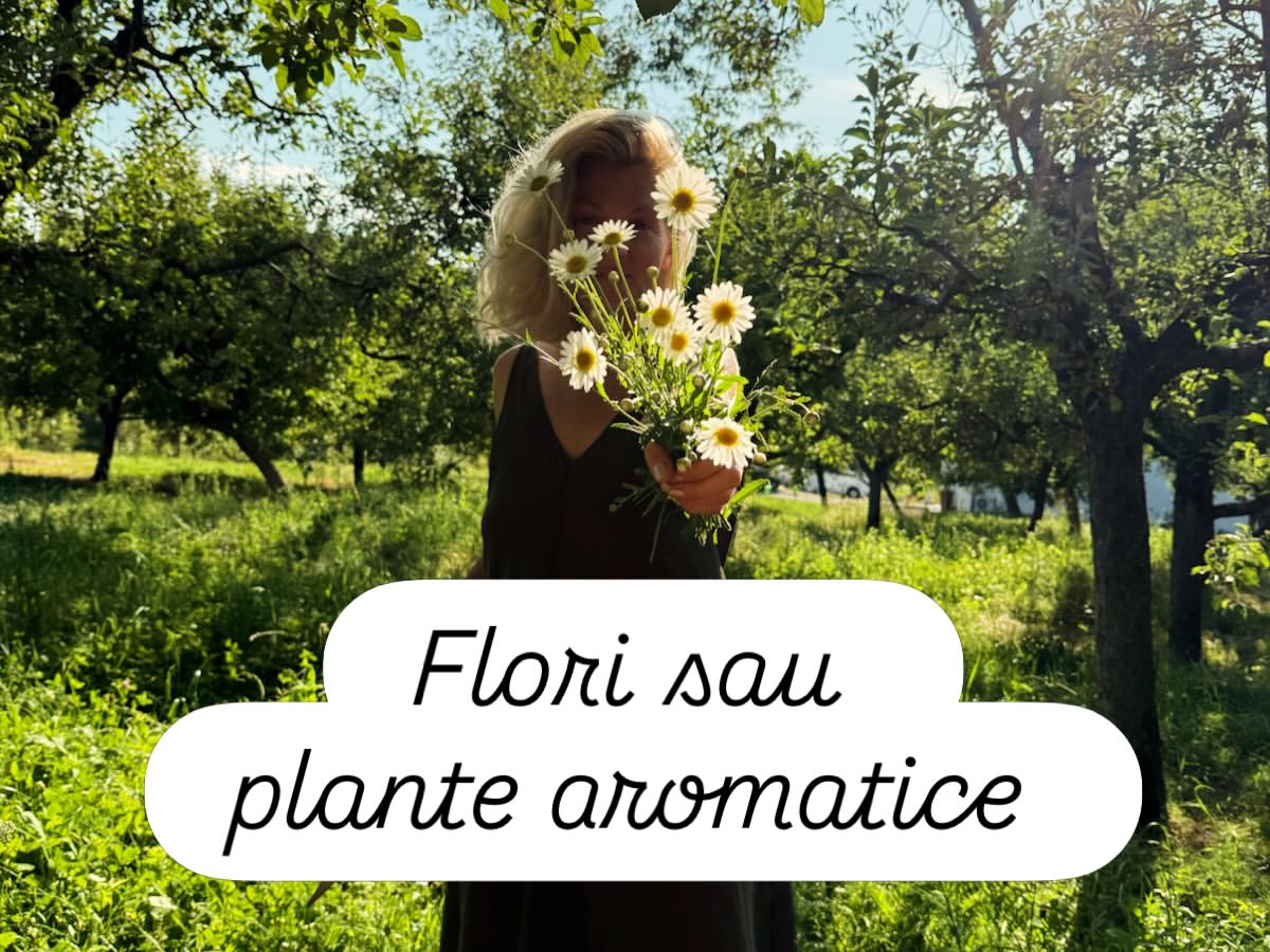 Imagini din gospodăria lui Dragoș Bucur și a Danei Nălbaru. De doi ani trăiesc la țară: „A fost cea mai bună decizie”