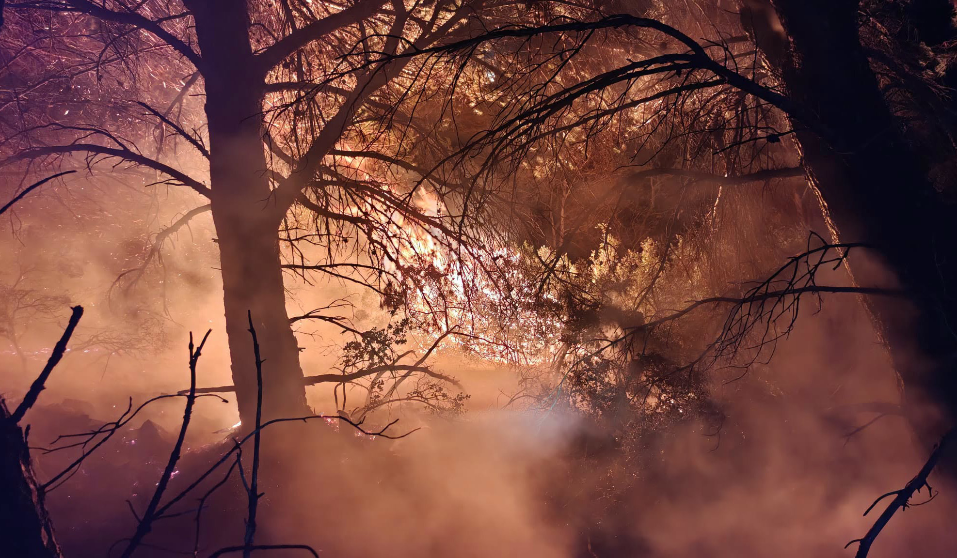 Peste 1.000 de hectare, făcute scrum de incendii violente, lângă Marsilia. Flăcările uriașe continuă să înghită teren