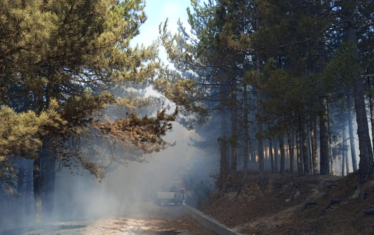 Incendiile puternice continuă în sudul Italiei. Temperaturi de peste 40 de grade, așteptate în următoarele zile