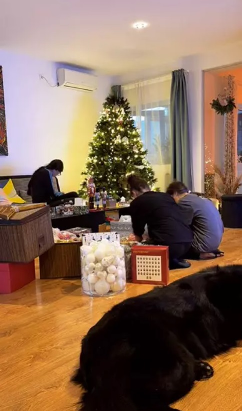 Imagini cu casa în care locuiesc Irina și Răzvan Fodor. Vila are două etaje, iar curtea e spațioasă și amenajată după bunul lor plac