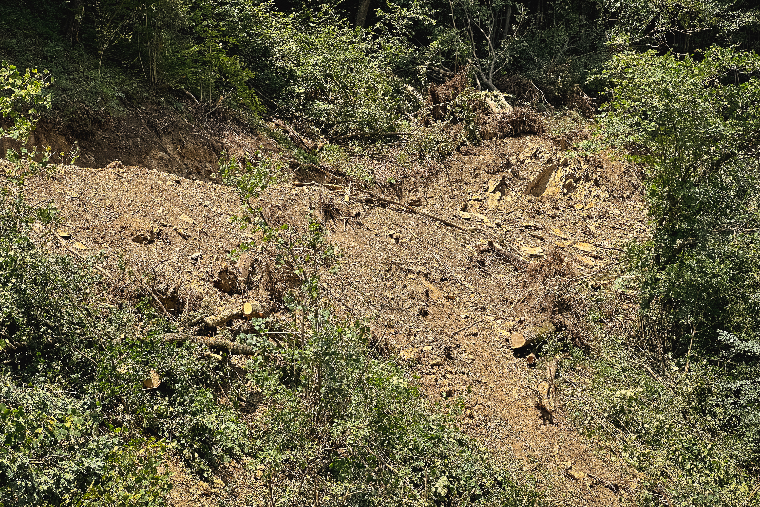 REPORTAJ Valea Oltului - viața după barieră. În lipsa traficului, natura își revine și nu prea, iar ministrul Grindeanu supraveghează cu drona progresul lucrărilor