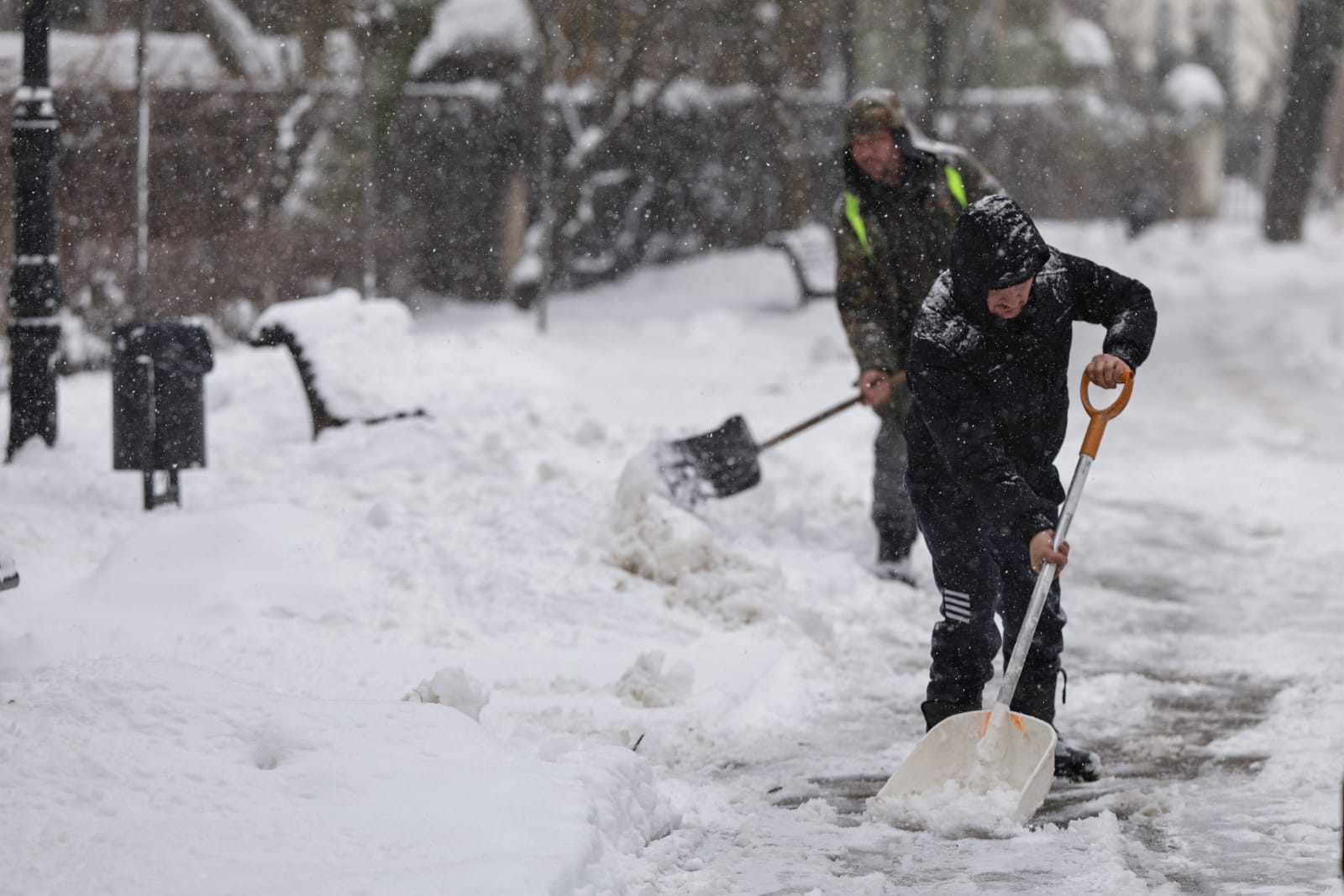 Codul galben de ninsori și viscol a făcut prăpăd în mai multe județe: copaci rupți și mașini distruse în București, drumuri închise sau restricționate în 16 județe | VIDEO